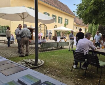 transformation summit acstyria im schloss gamlitz ausblick auf den innenhof